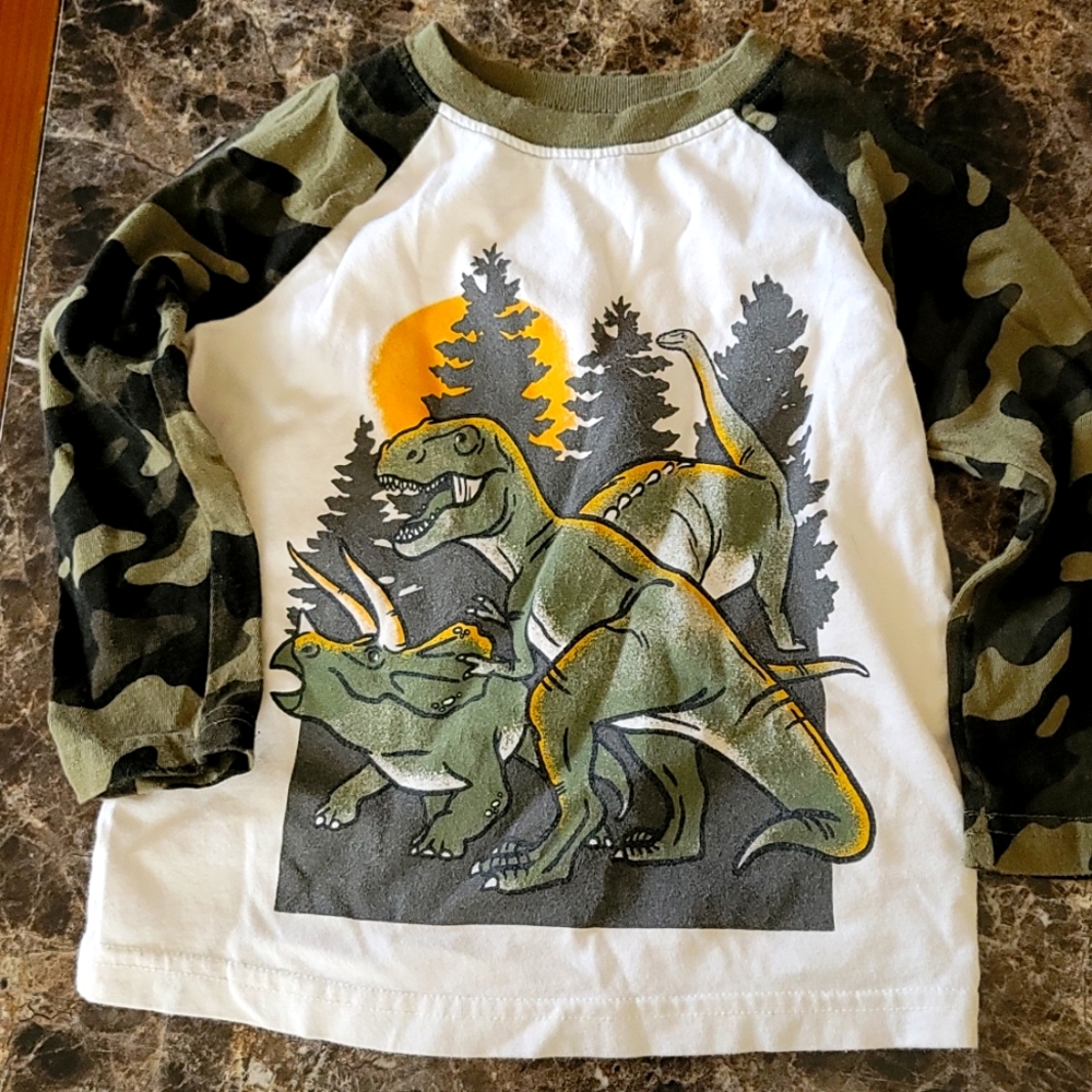 Green Camo Sleeve Dino Long Sleeve Tee